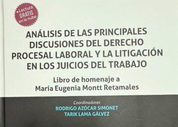 Análisis de las principales discusiones del Derecho Procesal Laboral